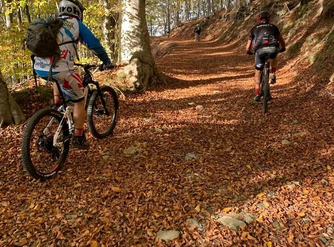 Ristorante La Torretta 2* Castiglione dei Pepoli